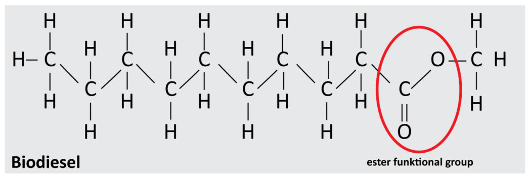 Biodiesel.jpg